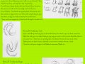 Basic_Dragon_Tutorial_by_BlowtorchForce.jpg